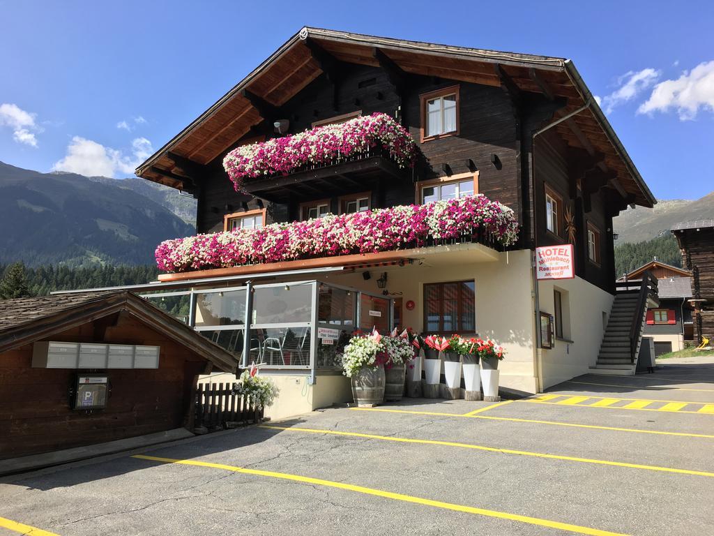 Hotel Haus Muehlebach Ernen Extérieur photo