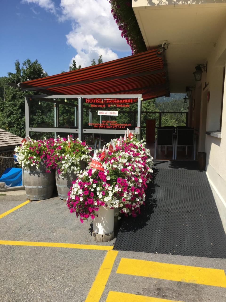 Hotel Haus Muehlebach Ernen Extérieur photo